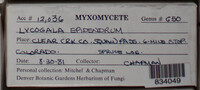 Image Associated With the Occurence